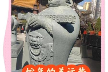 属羊2025年全年运势及运程(属羊2025年全年运势及运程1979)