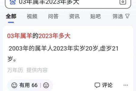 03年属羊2025年多大了(2003年的羊在2023年怎么样)
