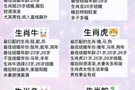 12生肖婚姻配对(12生肖婚姻配对查询)
