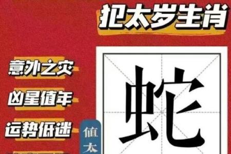 2025年属蛇是什么命(2025年属蛇是什么命几月出生最好)