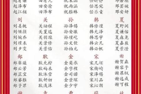 2025年取名字最佳字(二零二零年取名字)