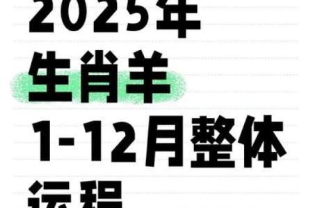 属羊人2025彻底大爆发(属羊人2025彻底大爆发46)