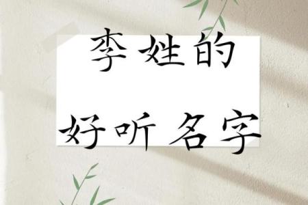 李姓有灵气女孩名字(李姓有灵气女孩名字属龙取名)