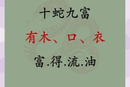 属蛇取名字用什么字比较好(属蛇取名字用什么字比较好2001)