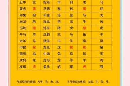 属龙和羊相配婚姻如何(属龙与羊相配吗)