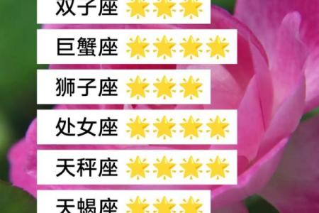 白羊座今日运势第一星座网(白羊座今日运势第一星座网2024年)