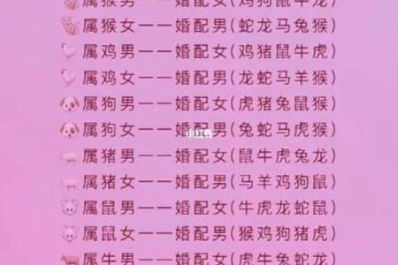 94年狗和96年鼠相配婚姻如何(94年属狗和96年属鼠的合不合)