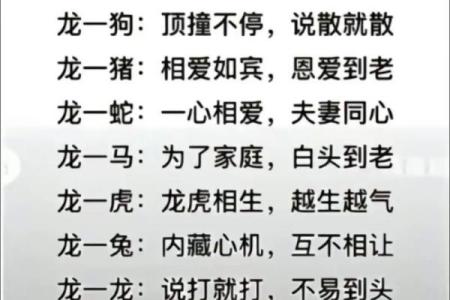 婚姻最佳配对大全(婚姻配对大全 很准)