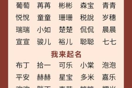 2025年女孩最佳取名(2025年女孩最佳取名)