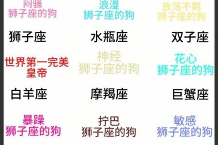狮子座运势第一星座网(狮子座运势第一星座网2024 10第一)