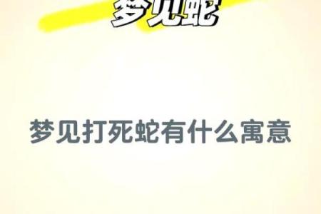 梦到把蛇从身体拽出来