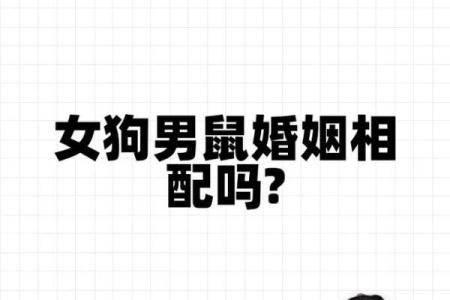 属狗的和属狗的婚姻相配吗(属狗的和属狗的婚姻合不合)