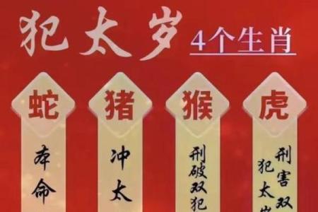 65年属蛇男2025年每月运势完整版(1977年属蛇男2025年的运势和婚姻)