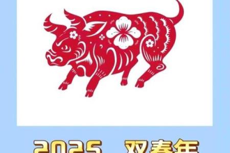 属牛今年运势2025年运势如何(202l年属牛运势)