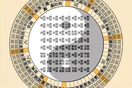 六爻龟壳占卜(六爻龟壳占卜在线)