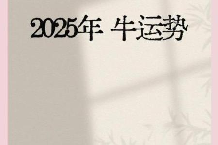 属牛人2025年全年运势(属牛人2025年全年运势每月运势)