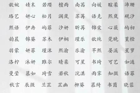 女孩子起名字寓意好的字有哪些(女孩起什么名字最好)