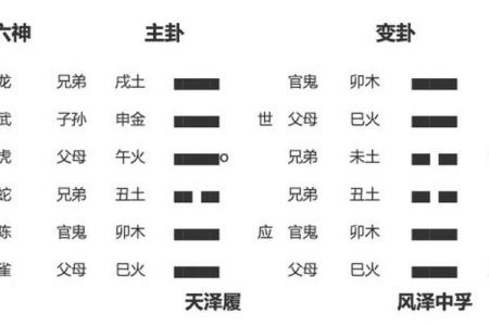 龟甲六爻卜卦(龟甲六爻卜卦图)