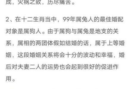 男兔和女鼠相配婚姻如何(男兔和女鼠属相合不合)