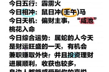 属蛇2026年的运势及运程(属蛇2026年的运势及运程详解)