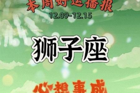 狮子座今日运势星座(狮子座今日运势星座乐)