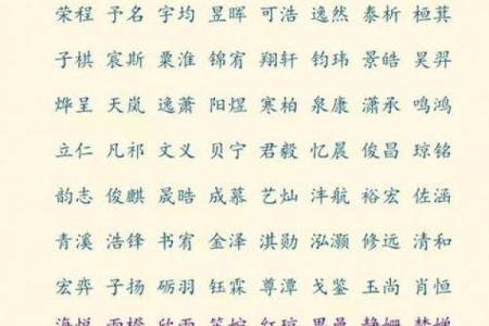 给小孩起名(给小孩起名旺仔好听吗)
