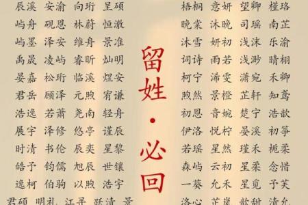 给小孩起名字最好的字大全(给小孩起名起什么名字好)