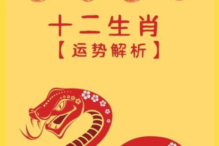 生肖蛇2025年运势(生肖蛇2025年运势完整版)