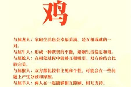 鼠和鸡相配婚姻如何(虎给鼠婚姻配婚缘吗)