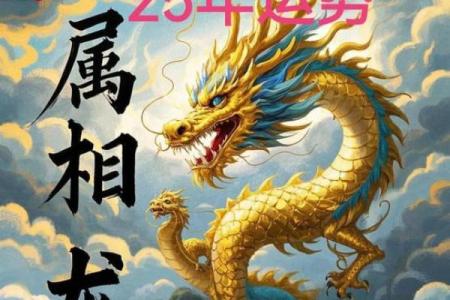 属龙2025运势及运程详解(属龙2025运势及运程详解算命网)