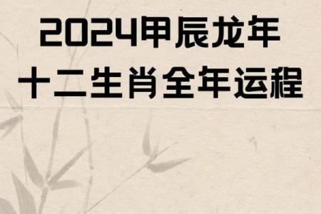 2025属龙人的全年运势(2025属龙人的全年运势)