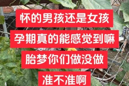 怀孕梦到很多蛇