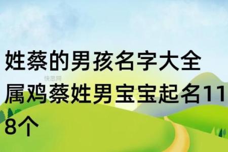 蔡姓男孩取名100分(蔡姓好听稀少的名字)