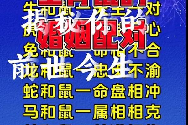 鼠和狗相配婚姻如何(猴鼠婚配的婚姻如何)