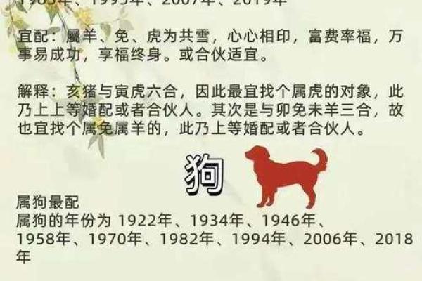 十二属相婚姻配对表大全(十二属相年龄表)