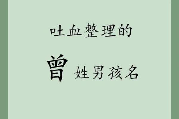 林姓男孩取名100分(曾姓男孩取名100分)