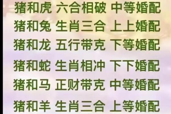 虎女猴男婚配的婚姻如何(男猴和女虎其实非常配)