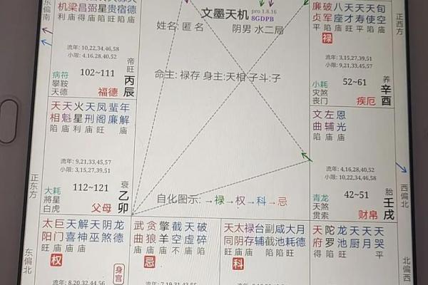 紫微斗数子女宫(紫微斗数子女宫化禄入命宫)