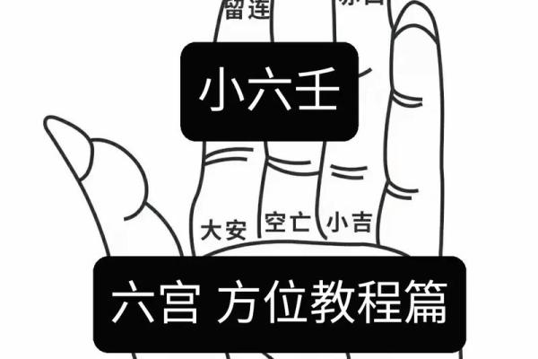 小六壬排盘软件(小六壬排盘软件下载免费安装)