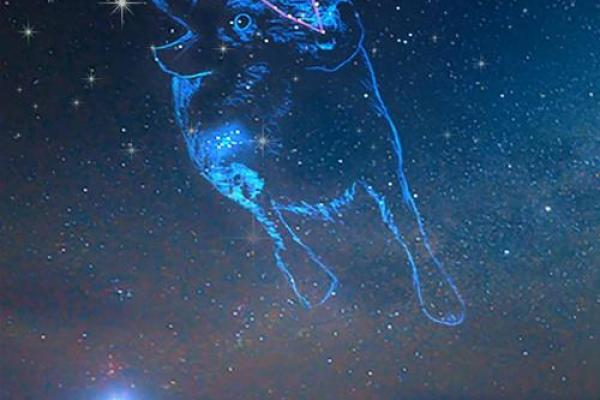 金牛座今日运势第一星座网(金牛座今日运势第一星座网2023年)