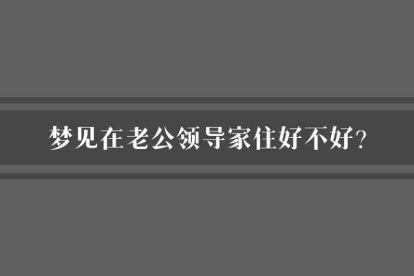 梦见同事生了个儿子