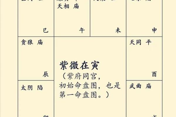 紫微斗数财星有哪些(紫微斗数中的财星)