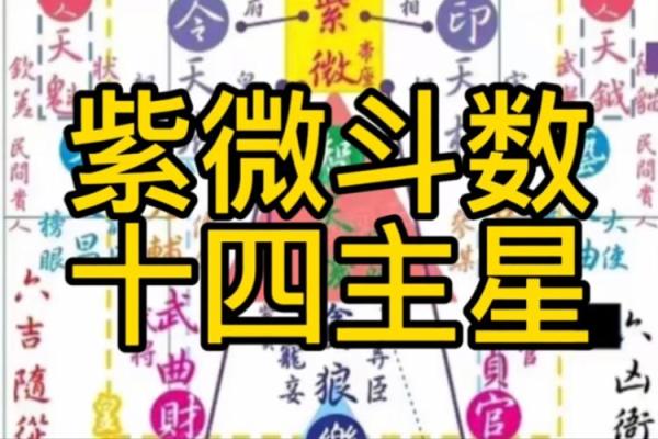 紫微斗数财星有哪些(紫微斗数中的财星)