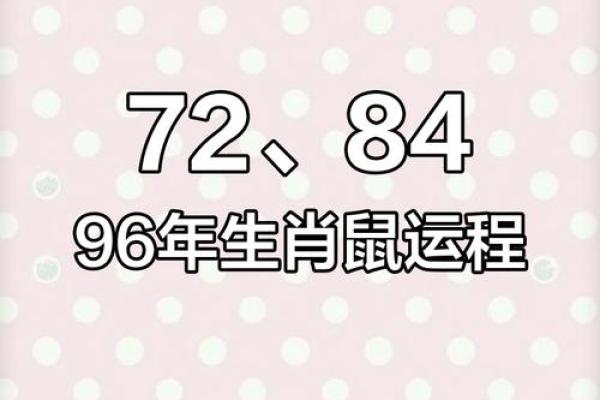 1984年属鼠2025年运势完整版(鼠2025财运大爆发的一年)