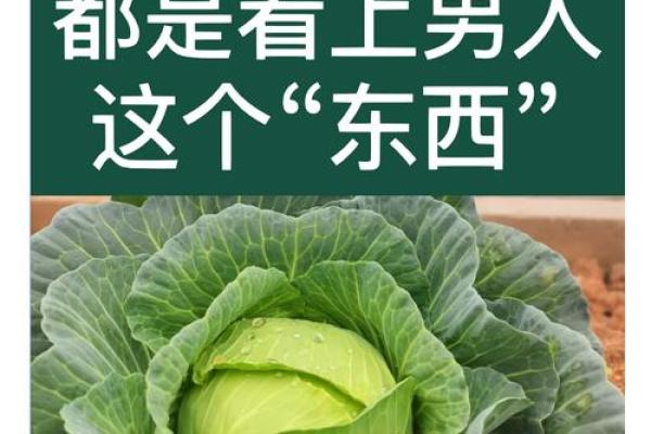 已婚妇女梦见自己出轨