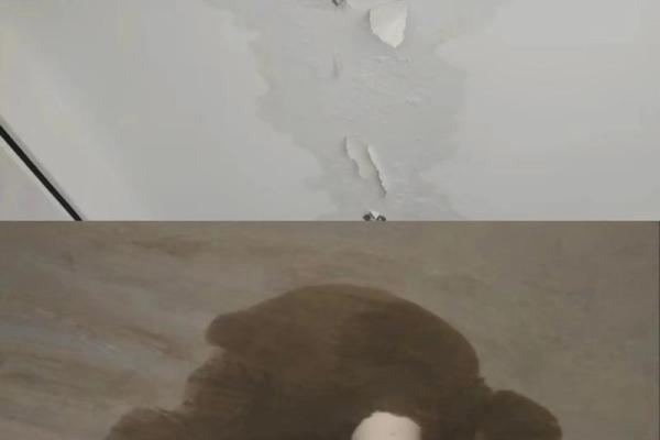梦到下雨房子漏雨严重