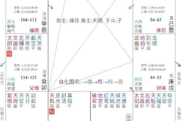 紫微斗数看配偶相貌身材(紫微斗数看配偶长相颜值)