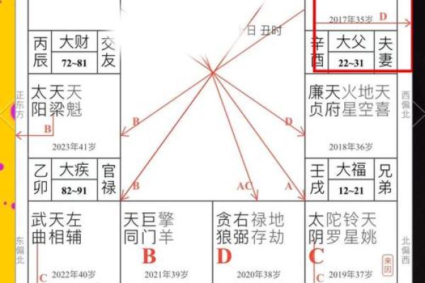 紫微斗数看配偶相貌身材(紫微斗数看配偶长相颜值)