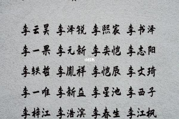 李姓简单大气男孩名字(李姓简单大气男孩名字兔年)