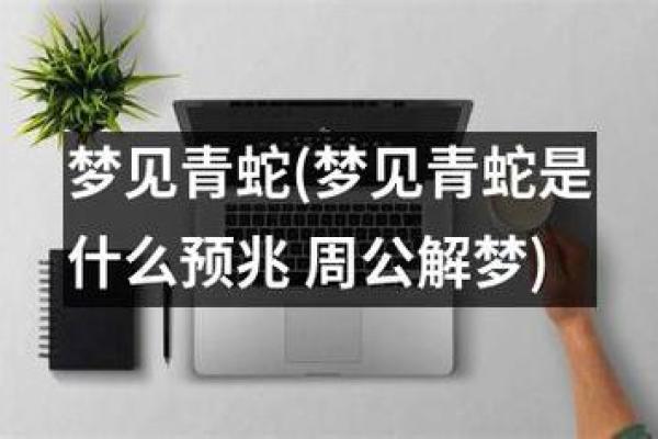 男人梦见蛇是什么预兆一